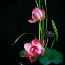 부성밧데리 이미지