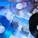 조이포스트 일본 RADWIMPS 엘피 배송대행 이용후기