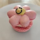 잎새당