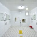 꽃주렁 나무주렁 캠핑장 이미지