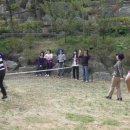 봄펜션민박 이미지