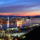 울산정비 Daum카페