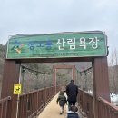 두유니랑 놀기-꿀잼대전(상소동산림욕장,만인산휴양림 푸른학습원,대전어린이세상)