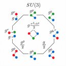 쿼크장(Quark Fields) / '글루온장 = 비가환 게이지 대칭을 구현하는 8차원 장' *** 이미지