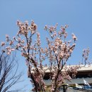 인천광역시청(통합데이터센터) 이미지