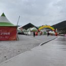 울주 언양봉계 한우불고기특구 | [공지] [후기] 2025 언양 봉계한우불고기축제 후기ㅣ비 오는 날의 뜨거운 현장, 한우와 트로트(박서진...