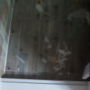 센트럴빌 이미지