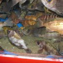 부광식당 이미지