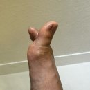 풋토리