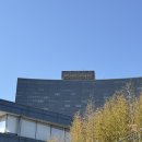 남산코너 | 그랜드 하얏트 서울 남산뷰 디럭스코너룸 후기(아이스링크장)