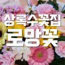 상록수꽃집 | 로망꽃에서 파스텔믹스꽃다발 안산꽃집추천