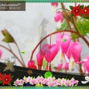 별무장물(別無長物) 이미지