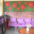 부자김밥 이미지