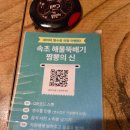 속초 로컬 맛집 짬뽕의신 내돈내산 해물쟁반짜장 추천