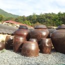 춘화민박