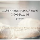 보화 이미지