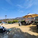 팡시온 | 대전 벚꽃 명소 대청호 벚꽃길 카페 "팡시온" 내돈내산 솔직 후기