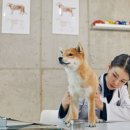 아이안 동물의료센터 이미지