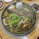 캠플랜트 이미지