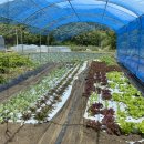 덕산정육점 - 마포구 토정로31길 51-8 | 덕산정육점