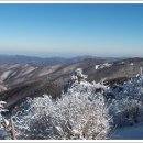 삼도메디칼 이미지