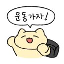 크로스핏 라온3 이미지