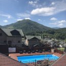 해뜨는 숲속 이미지