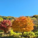고향떡방아간 - 계룡시 번영3길 40 | 고향떡방아간