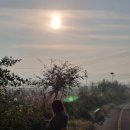 미류네 농장 이미지