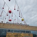 2571 | 춘천 데이트, 춘천 크리스마스, 춘천 크리스마스 트리, 화동2571