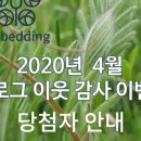 대박침장