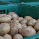 팔형제 농장 이미지