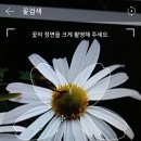 스마트폰 다음 어플에서 꽃 이름 검색할 수 있습니다. 이미지