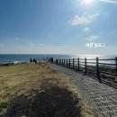 우도빌리지 | 우도여행 필수 코스 추천 우도왕자 땅콩아이스크림 원조 솔직후기