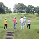 (주)명문관광여행사 이미지