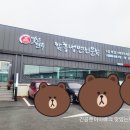 별난매운탕(이상진의 별난면옥) | 안성 양성면 맛집 별난면옥의 버섯매운탕을 먹어보고