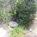 제주도성산공인중개사사무소 이미지