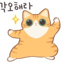 씨스컴 이미지