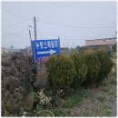 누렁소앤도새기