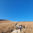 울산 간월재 억새평원 쉬운코스, 주차장, 등산 후기