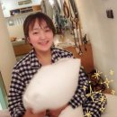 스테이3355 이미지
