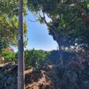 하례1리 이미지