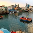 청호 갯배 | "갯배로 500원이면 갈 수 있어요" 아바이순대로 유명한 국내 겨울 바다 여행지