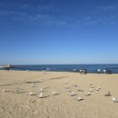 낭만닭강정 이미지