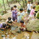 해운대자연유치원 이미지