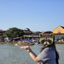 유한회사 송엔김 | 송또베 - 이번엔 다낭 [1일차]