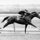 영웅농장 이미지