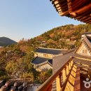 소낭구펜션