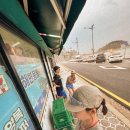 세븐일레븐 부산송정바다점 네이버블로그