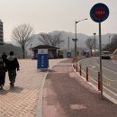 관음시장 | 5월 강원도 여행 영월 청령포 단종유배지 방문후기 (+관람시간, 줄서기 팁, 웨이팅, 주차)